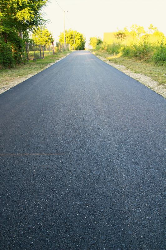 Freshly Paved Asphalt Surface